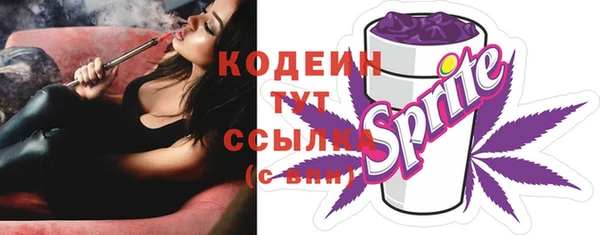 прущие крисы Бородино