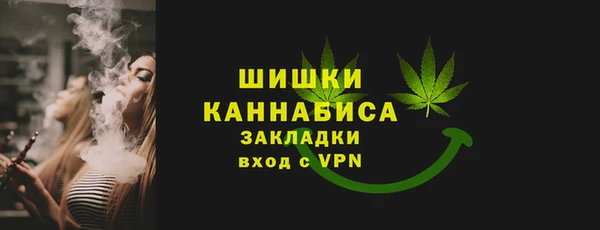 ГАЛЛЮЦИНОГЕННЫЕ ГРИБЫ Заволжье