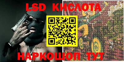 крисы Моздок