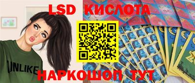 мяу мяу мука Аргун