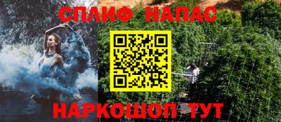 мяу мяу мука Аргун