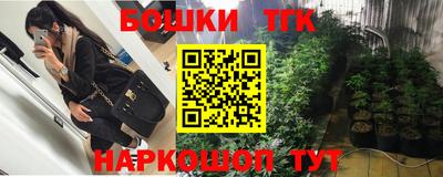 прущие грибы Апшеронск