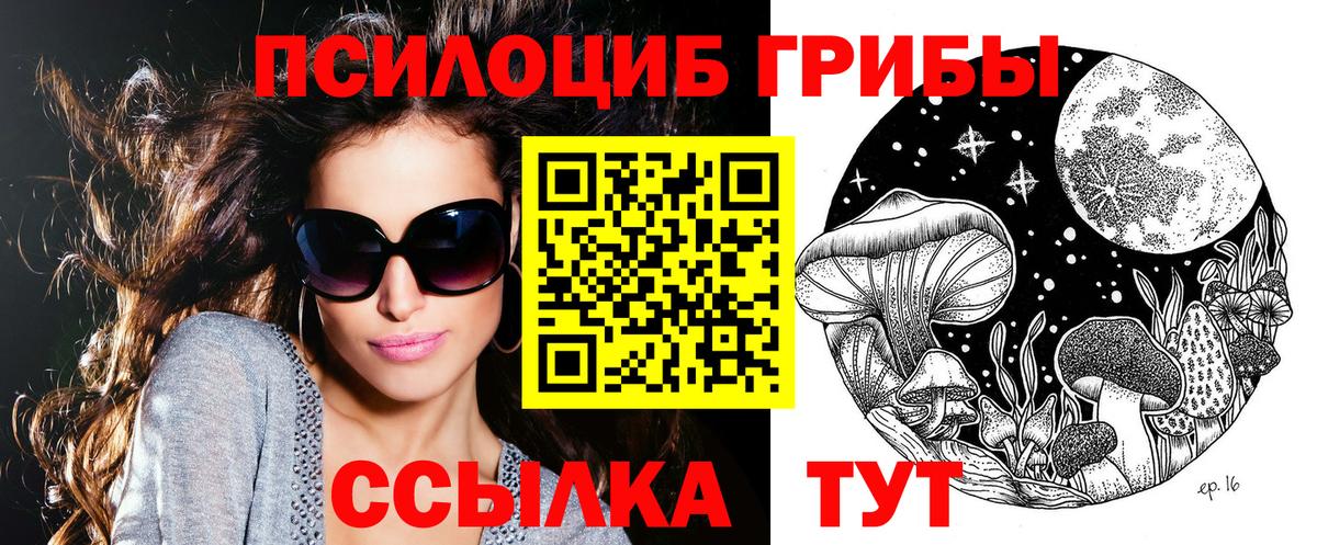 Псилоцибиновые грибы Psilocybe  Псилоцибиновые грибы мицелий  Борзя  Вход с VPN 