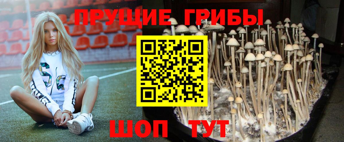 Галлюциногенные грибы Cubensis  Галлюциногенные грибы MAGIC MUSHROOMS  Борзя 