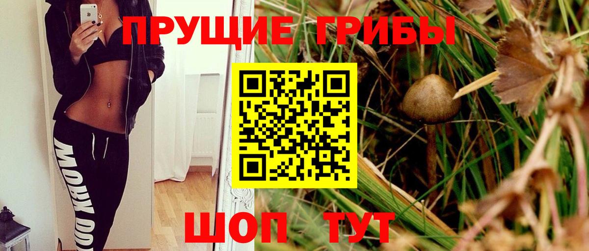 Галлюциногенные грибы MAGIC MUSHROOMS Борзя