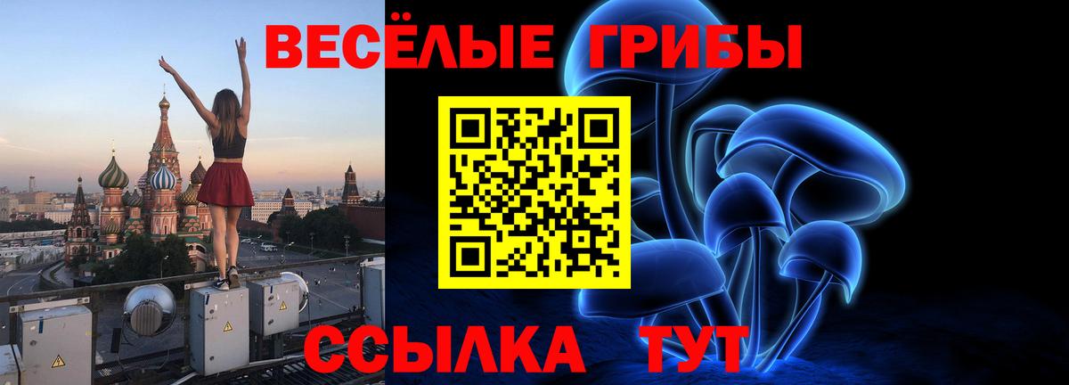 Галлюциногенные грибы Psilocybine cubensis Борзя